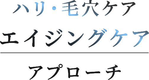 ハリ・毛穴ケア エイジングケアアプローチ